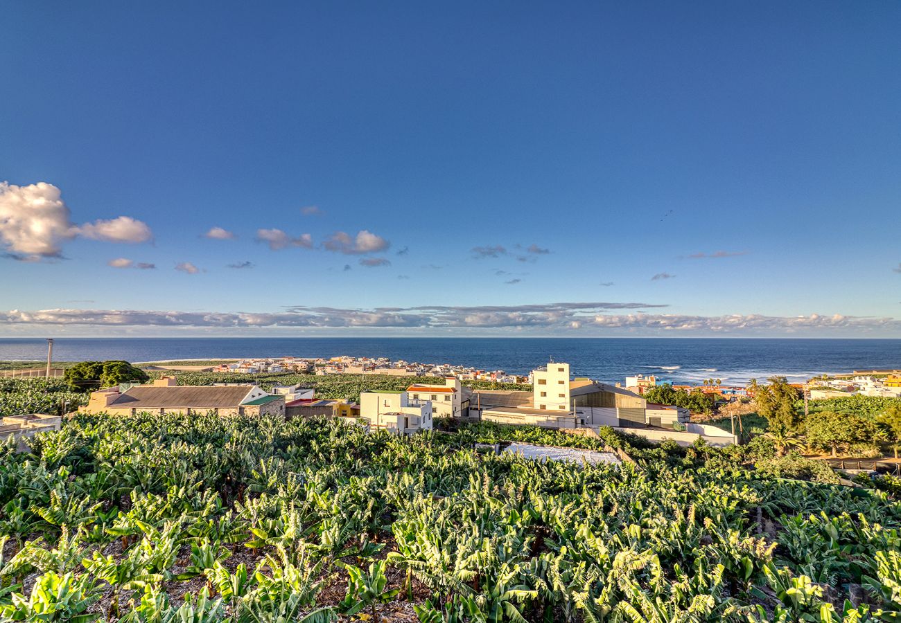 Ferienhaus in Garachico - Spacious Home w/ Tropical pick-up Garden/Near Seaside