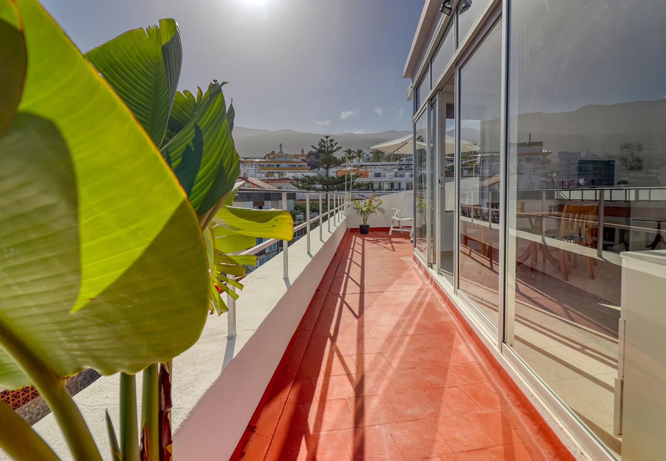 Apartamento en Puerto de la Cruz - Apart. espacioso en planta superior/ patio grande