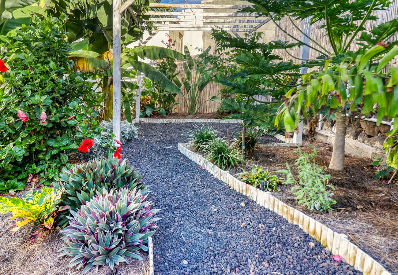 Casa en Garachico - Casa / Jardin Tropical de reccolecion/ cerca de la playa