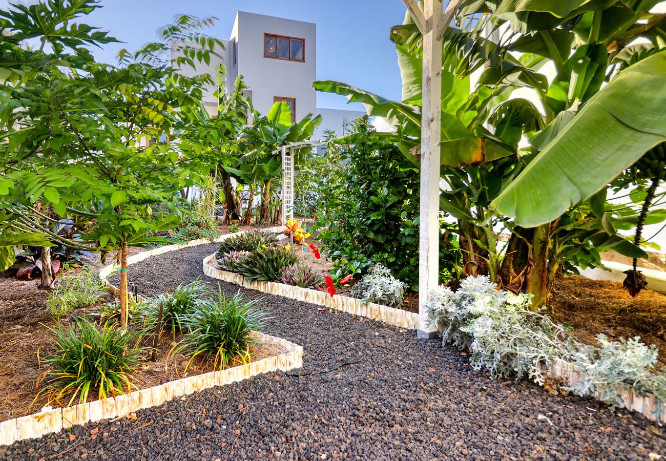 Casa en Garachico - Casa / Jardin Tropical de reccolecion/ cerca de la playa