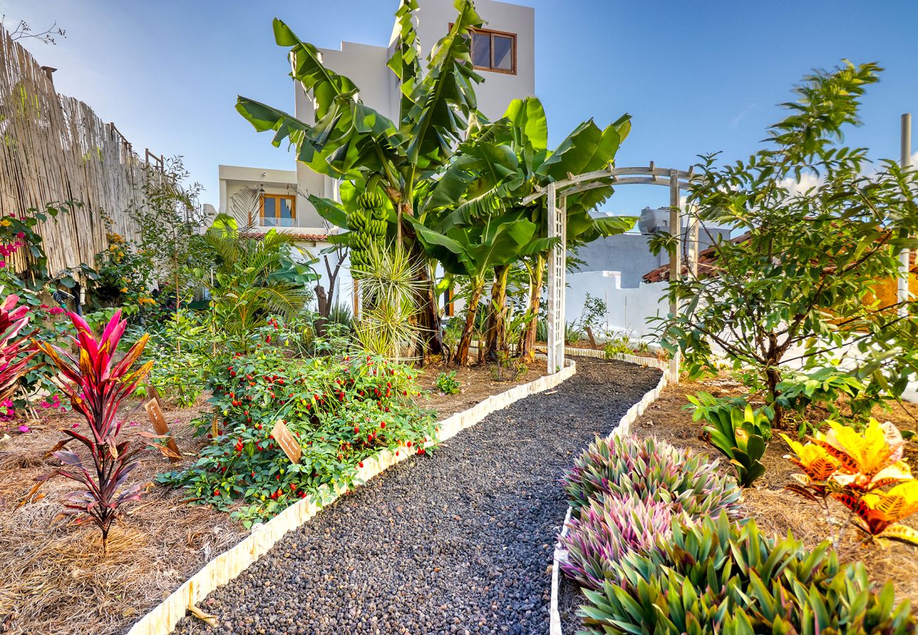 Casa en Garachico - Casa / Jardin Tropical de reccolecion/ cerca de la playa